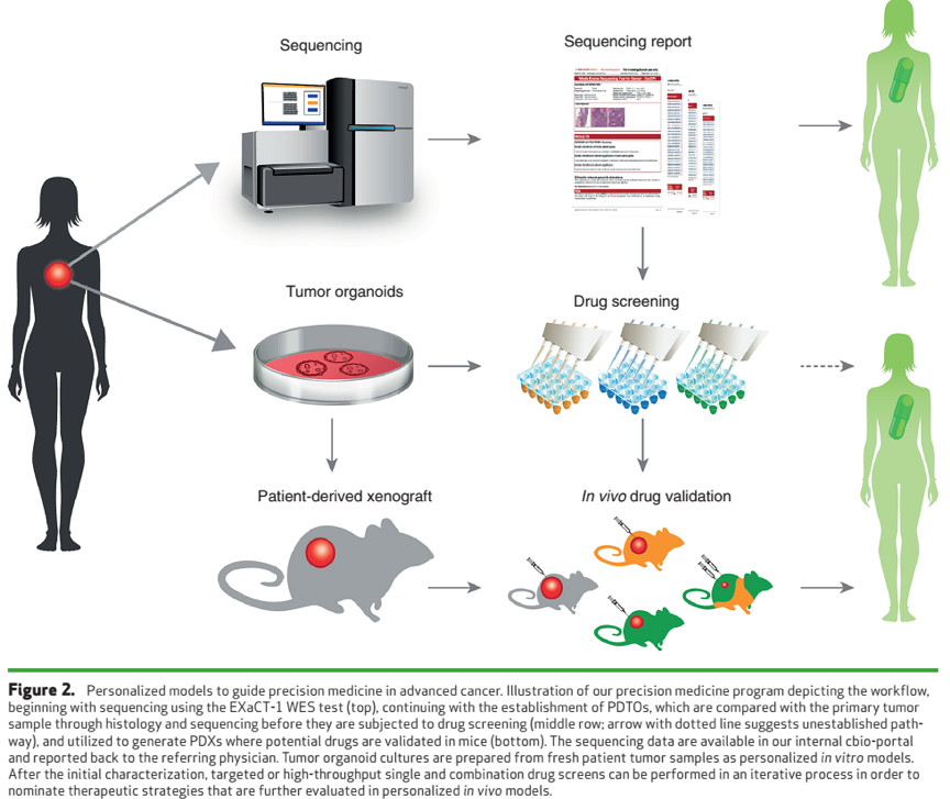 Personalized In Vitro and In Vivo Cancer Models to Guide Precision Medicine HOME